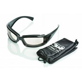 24 Stray Cat selbsttönende Sonnenbrille