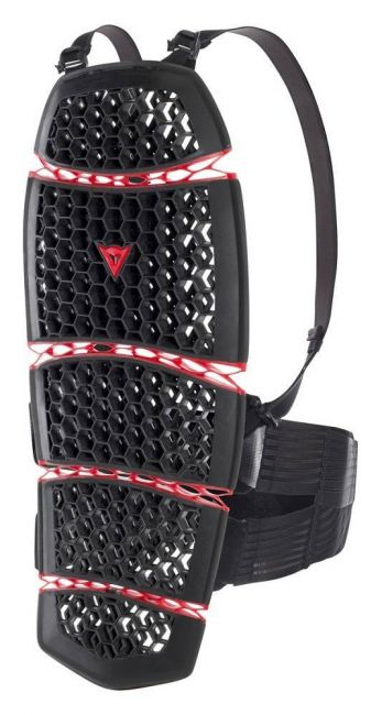 Dorsale discount dainese equitation
